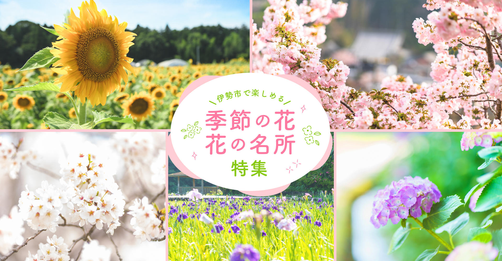 이세시에서 즐길 수 있는 계절의 꽃・꽃의 명소 특집