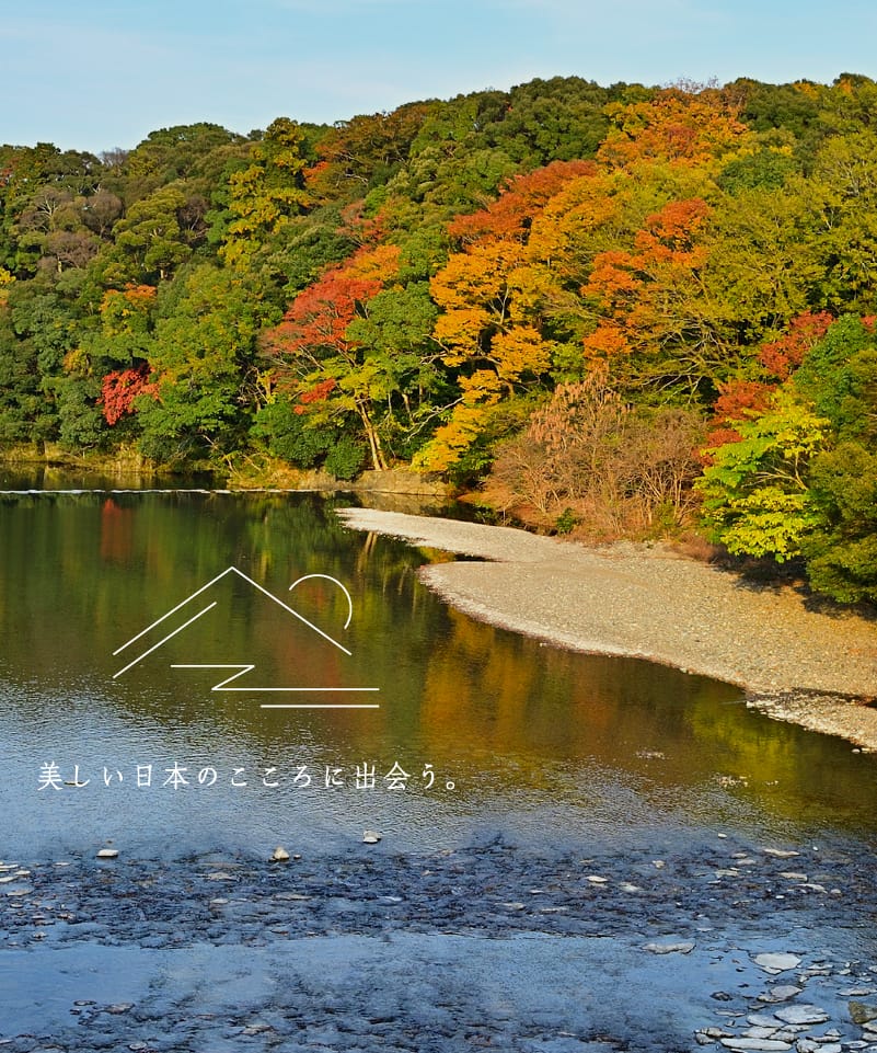 Herbstlaub in Naiku